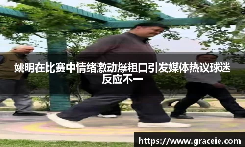 姚明在比赛中情绪激动爆粗口引发媒体热议球迷反应不一