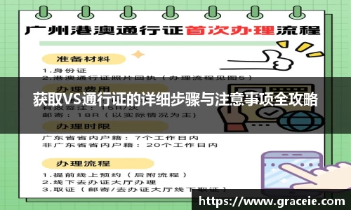 获取VS通行证的详细步骤与注意事项全攻略